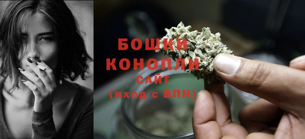 бошки Переславль-Залесский
