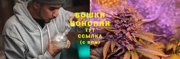бошки Переславль-Залесский