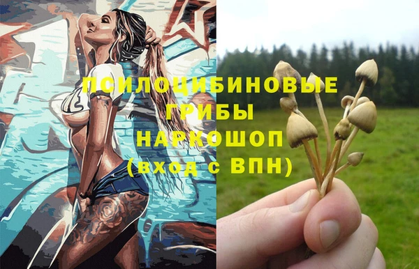 винт Бронницы