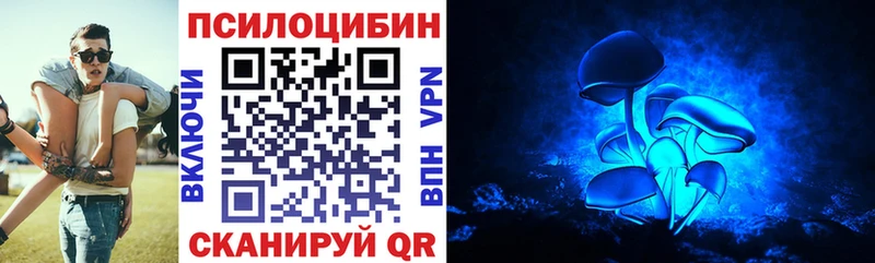 как найти закладки  OMG ссылки  Псилоцибиновые грибы Psilocybe  Енисейск 